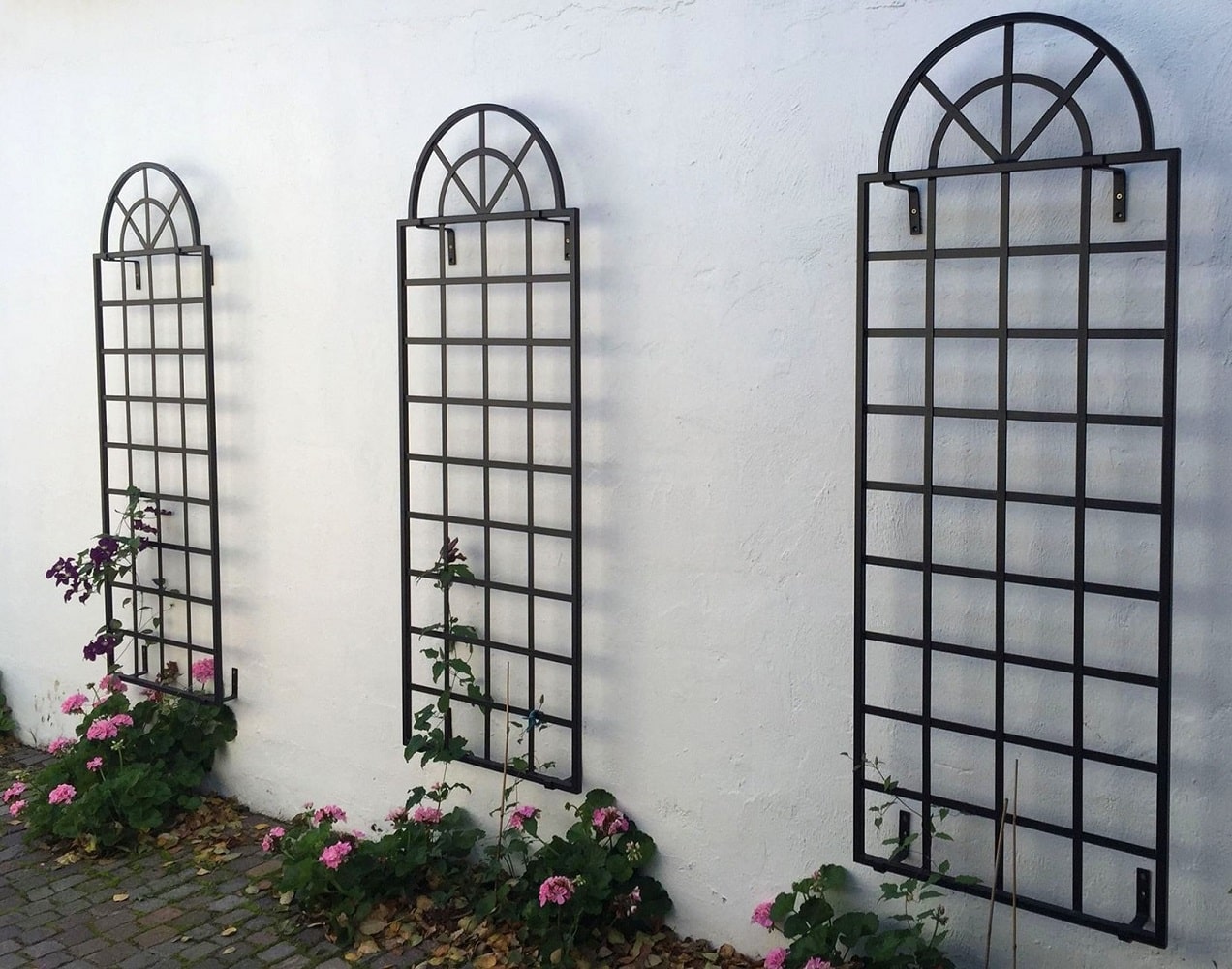 Drei Rankgitter aus Metall Orangerie-Spaliere von Classic Garden Elements auf weisser Wand montiert mit Clematis und Geranien