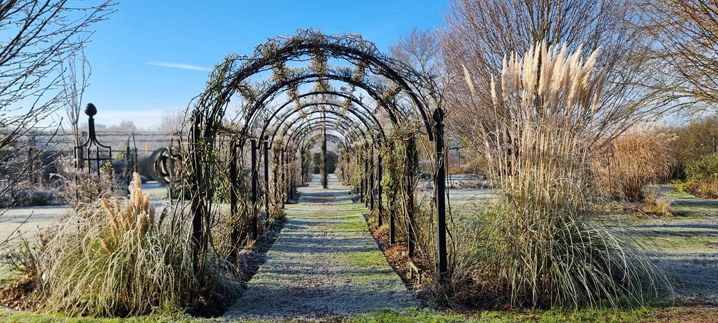 Februar im Rosengarten von Peter Beales mit Laubengang St Albans von Classic Garden Elements und frisch geschnittenen Rambler Rosen