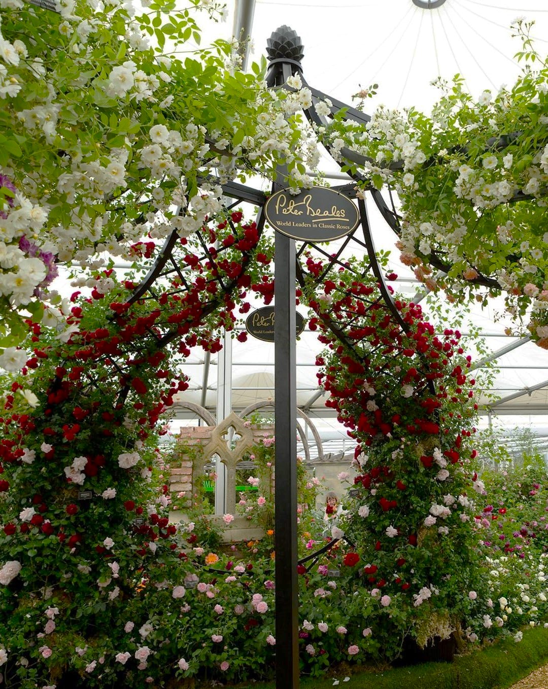 Hochzeits Pavillon Lyme Park von Classic Garden Elements auf der Chelsea Flower Show Hauptbild