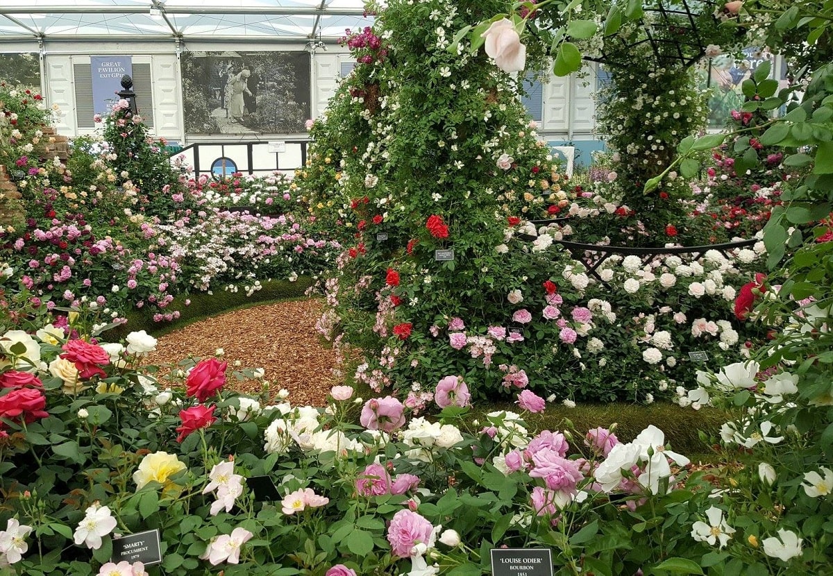 Hochzeitspavillon 'Buscot Park' von Classic Garden Elements auf dem mit der Goldmedaille ausgezeichneten Stand von Peter Beales Roses auf der Chelsea Flower Show 2018