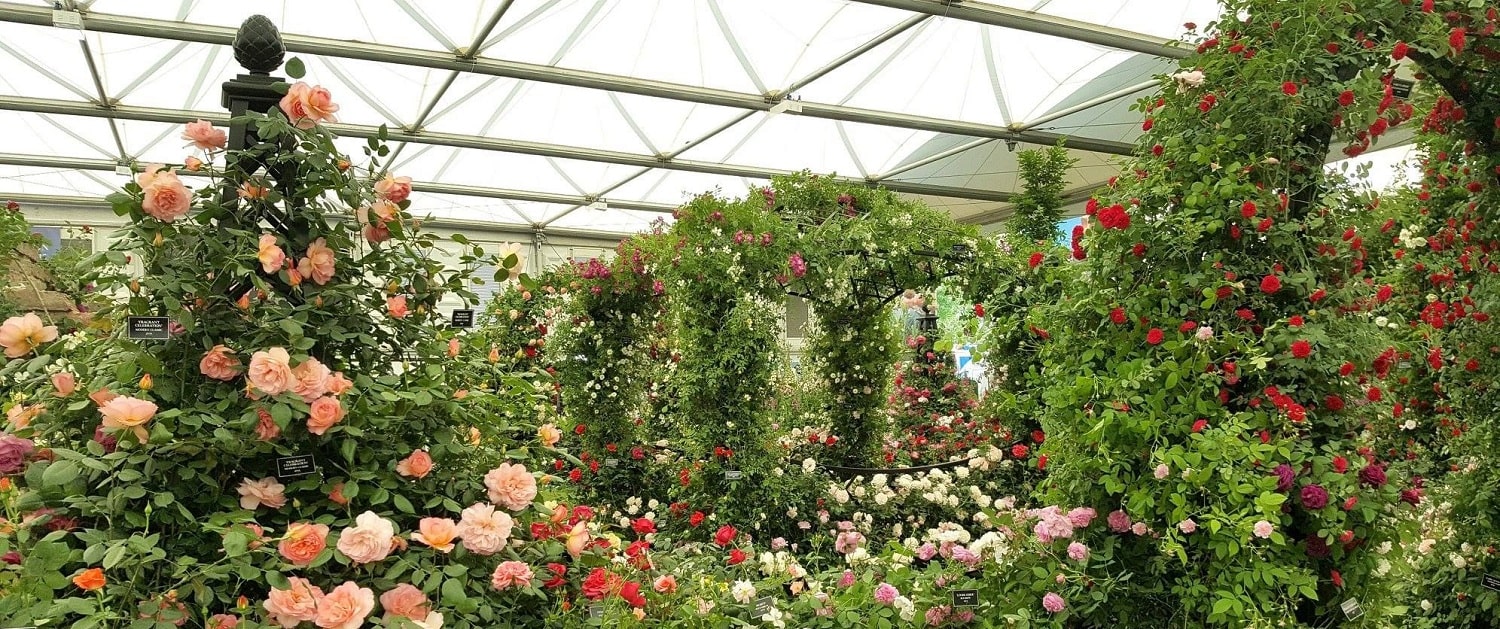 Hochzeitspavillon 'Buscot Park' von Classic Garden Elements auf der Chelsea Flower Show 2018 neben der Rosenpyramide Malmaison und dem Rosenbogen Portofino