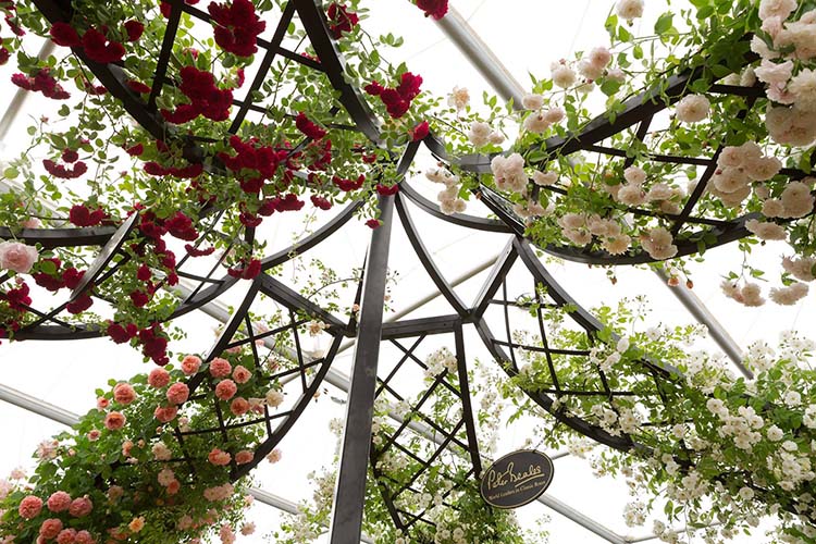 Hochzeits Pavillon Lyme Park auf der Chelsea-Flower-Show