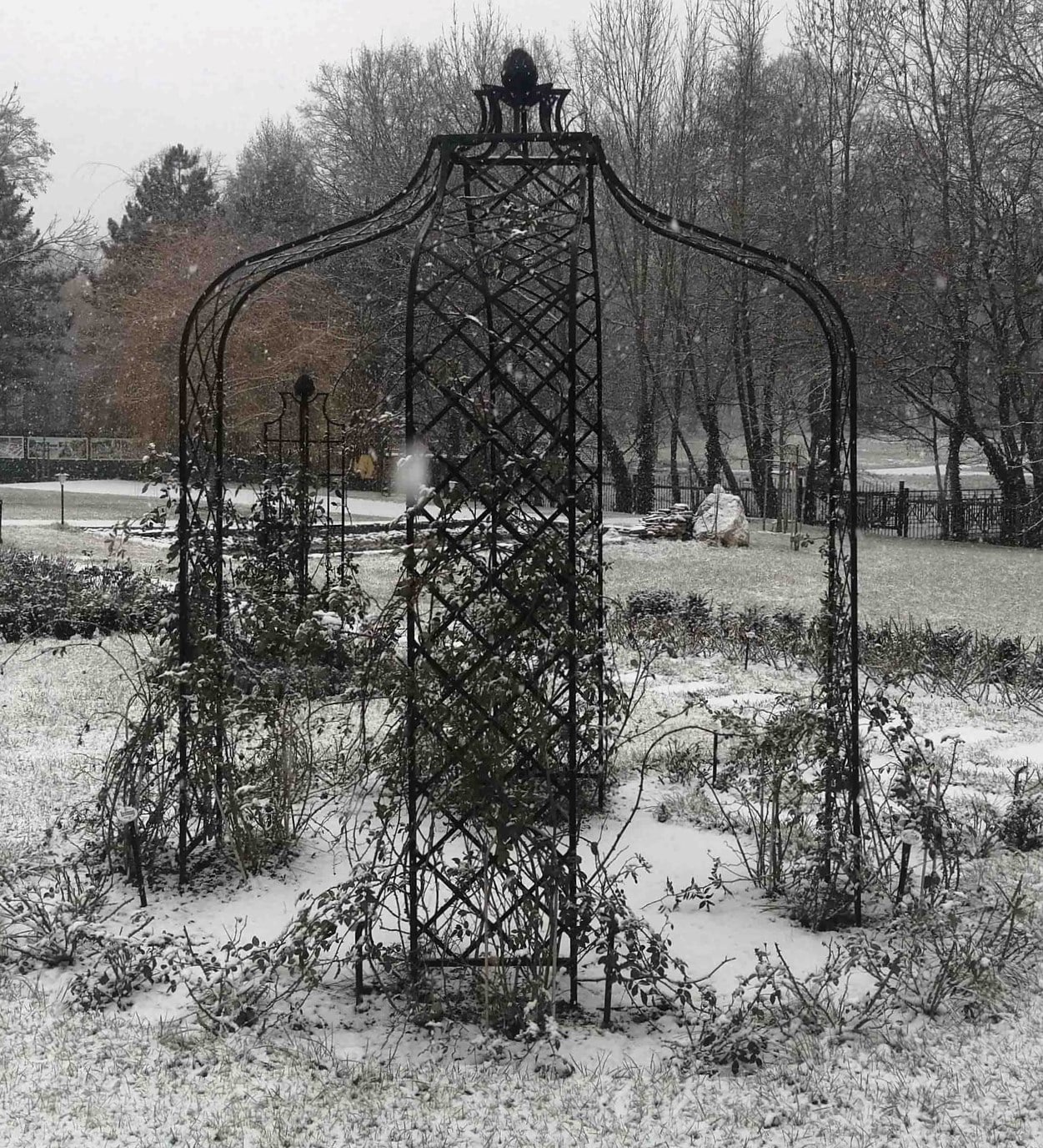 Rosenpavillon Kiftsgate von Classic Garden Elements im Rosengarten Dolná Krupá (Slowakei) im Winter