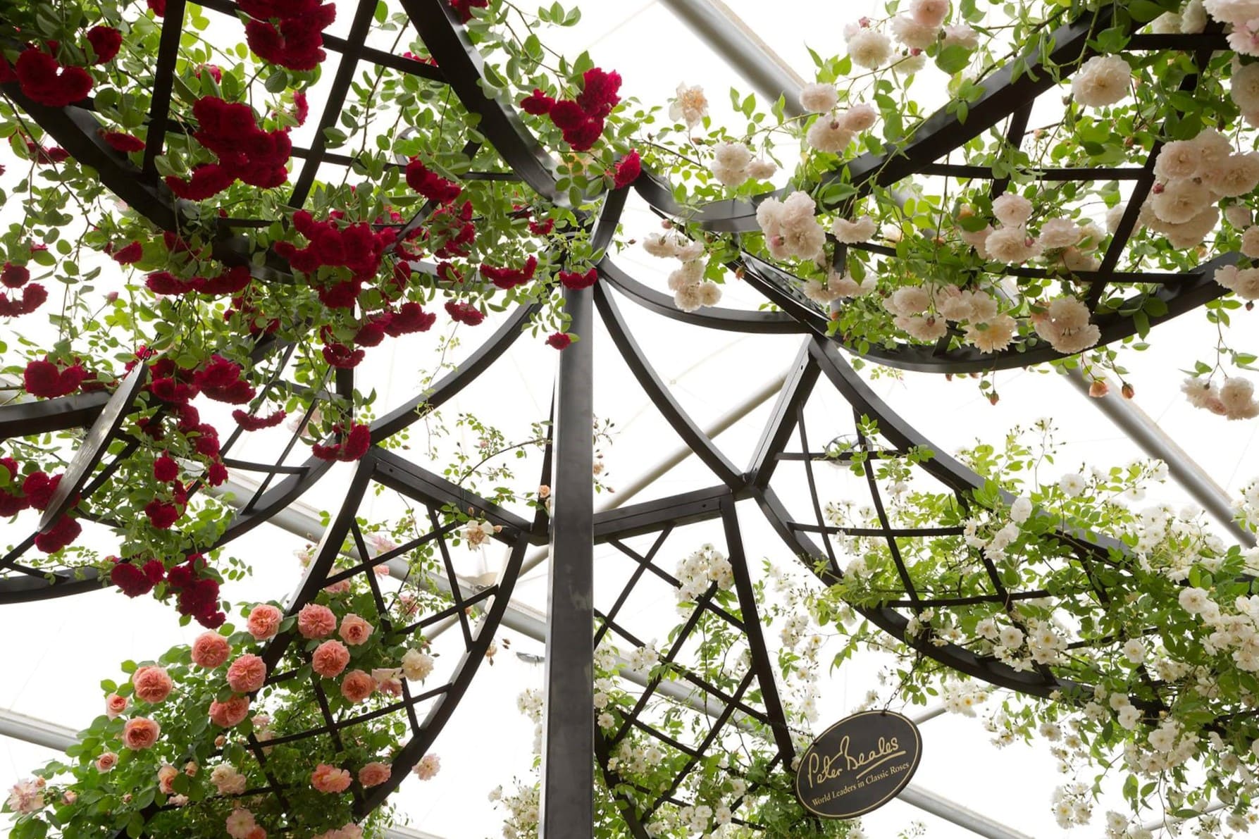 Rosenpavillon Lyme Park von Classic Garden Elements auf der Chelsea Flower Show 2015