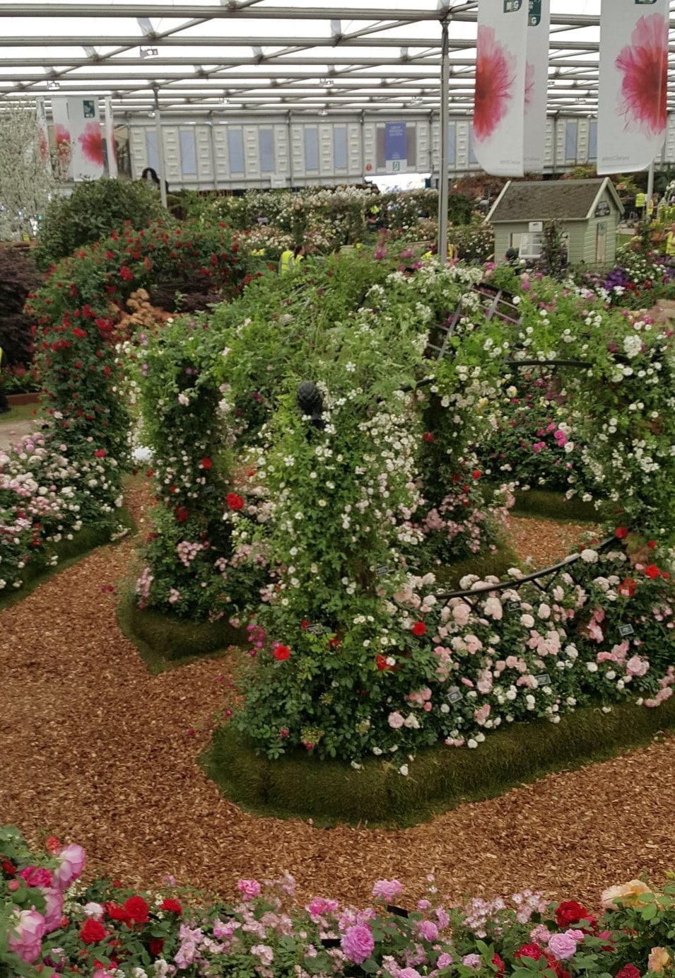 Stand von Peter Beales Roses auf der Chelsea Flower Show 2018 in der Mitte mit dem Hochzeitspavillon Buscot Park von Classic Garden Elements