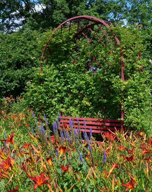 Taglilien vor der Romanischen Laube 'Villandry' von Classic Garden Elements im Kreislehrgarten Steinfurt