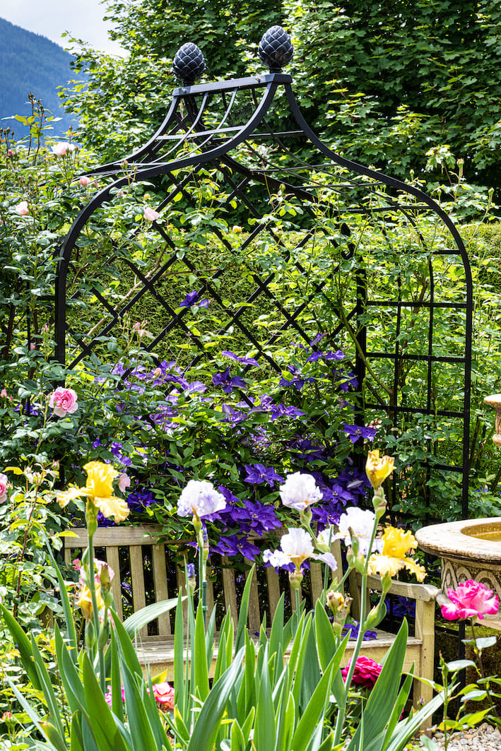 Viktorianische Rosenlaube mit Clematis im österreichischen Privatgarten