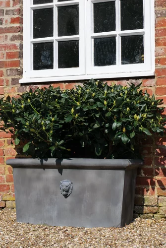 Langer Pflanzkübel Lion Head