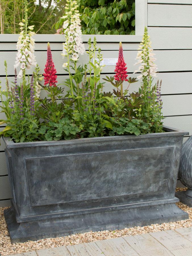 Langer Pflanzkübel Empire saisonal dekoriert mit blühenden Pflanzen – Fingerhut, Salbei, Frauenmantel und Lupinen Langer Pflanzkübel Empire saisonal dekoriert mit blühenden Pflanzen - Fingerhut, Salbei, Frauenmantel und Lupinen