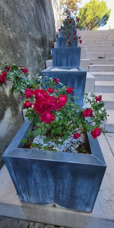 Mehrere Qube Pflanzkübel in der südfranzösischen Rosenstadt Grignan Mehrere Qube Pflanzkübel in der südfranzösischen Rosenstadt Grignan