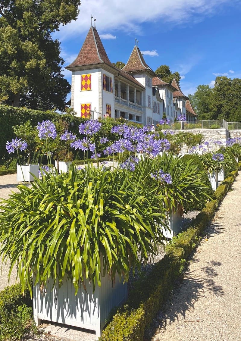 Orangerieparterre Schloss Waldegg mit Versailler Kübeln von Classic Garden Elements2