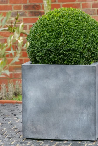 Mittlerer Qube Pflanzkübel