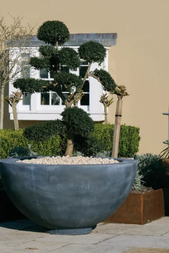 Pflanzschale Verona - Formschnitt Bäumchen