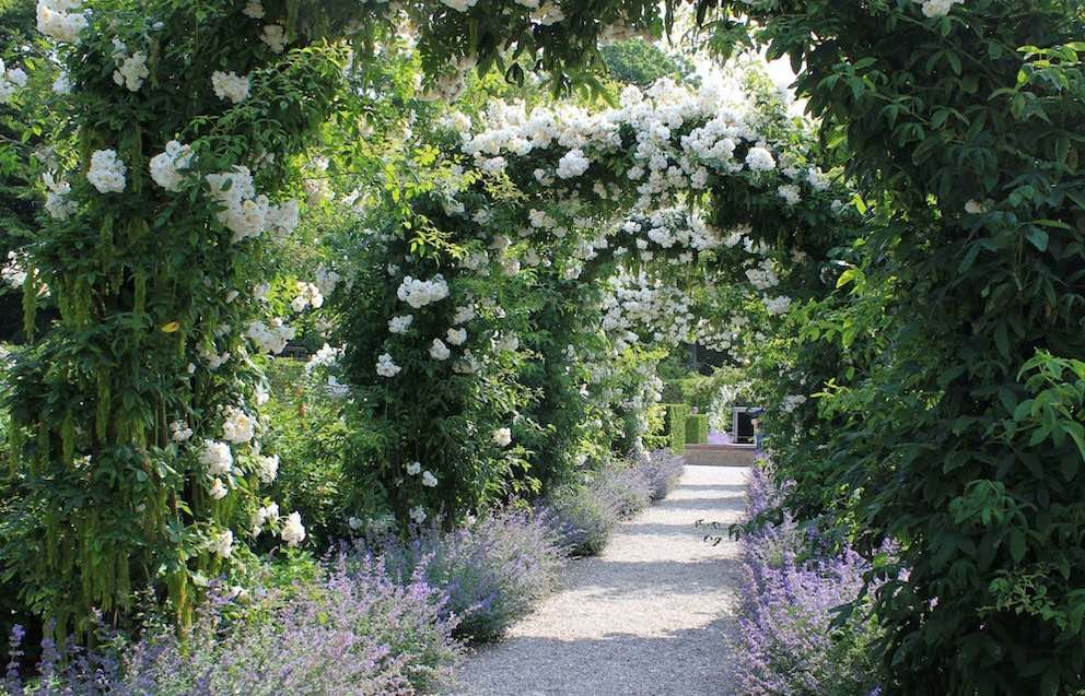 Dänische Rosen 'Lykkefund' mit den Rosenbögen 'Bagatelle' von Classic Garden Elements am Schloss Egeskov Kopie