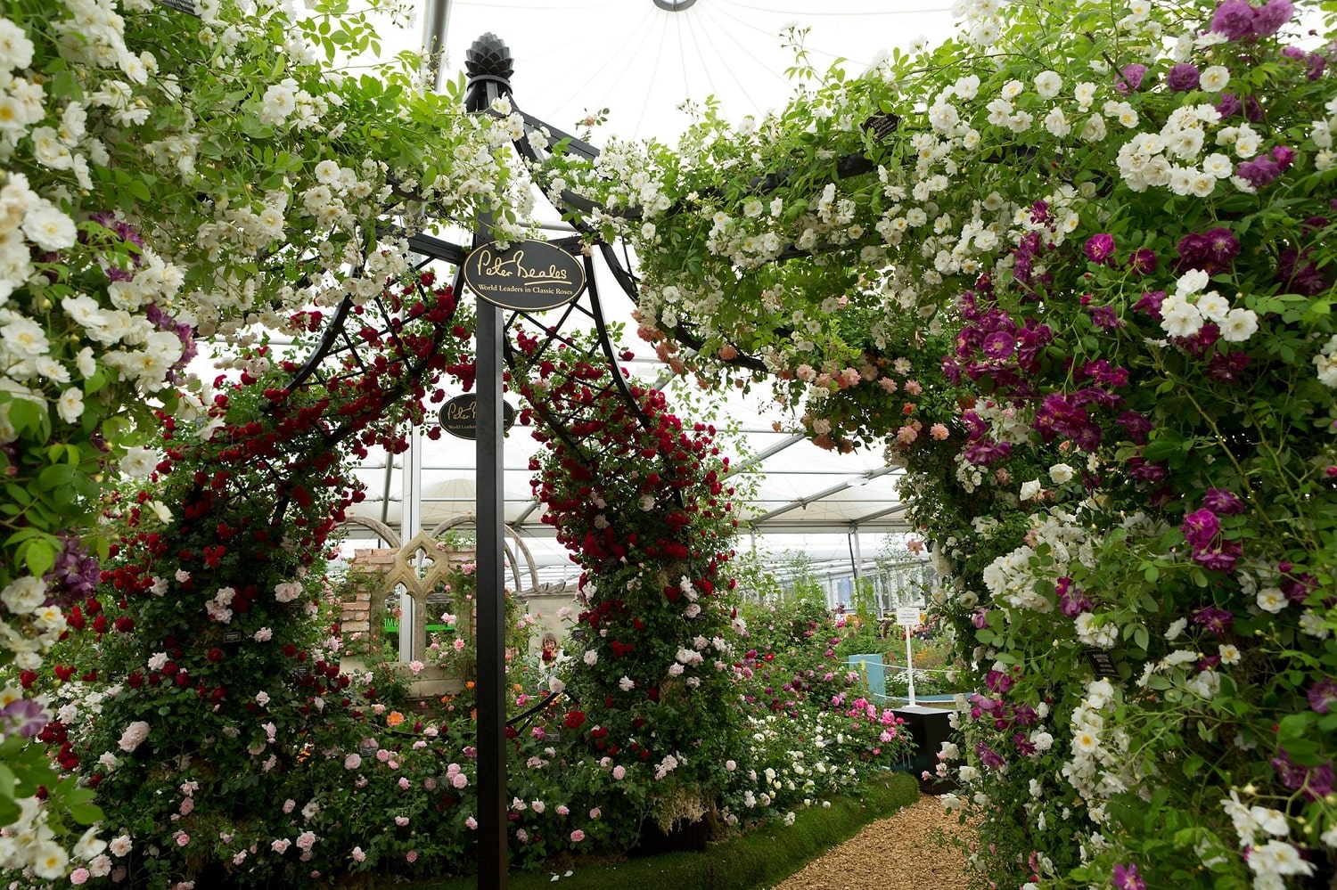 Hochzeits Pavillon Lyme Park von Classic Garden Elements auf der Chelsea Flower Show