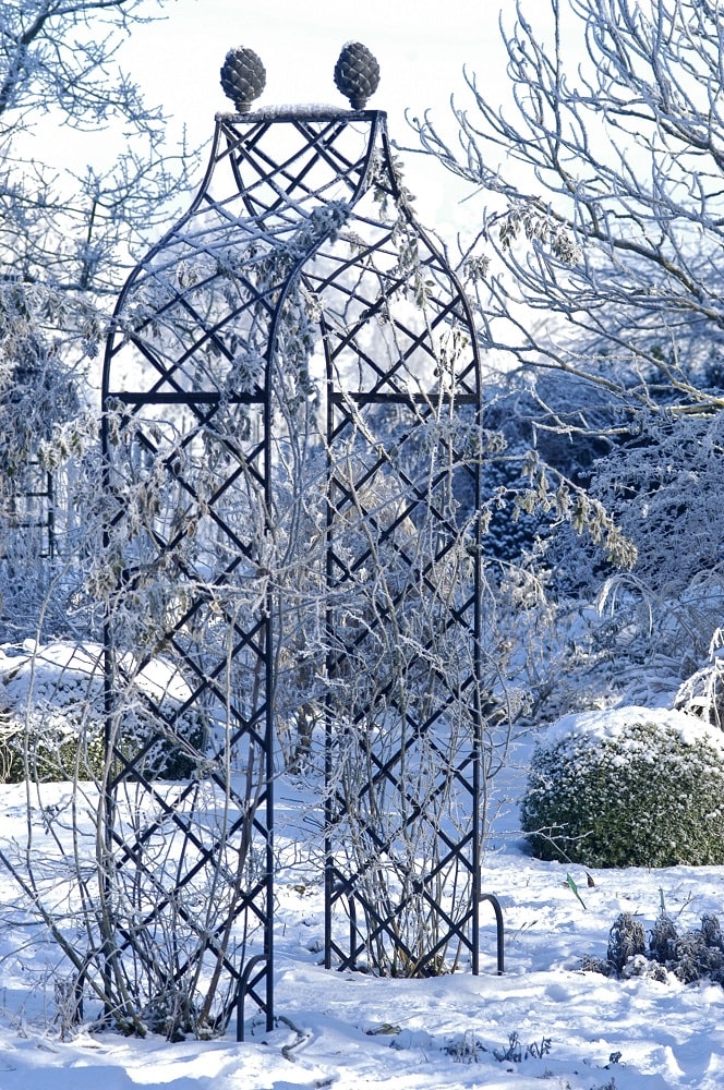 Rosenbogen Kiftsgate von Classic Garden Elements dekorativ im Winter mit Raureif