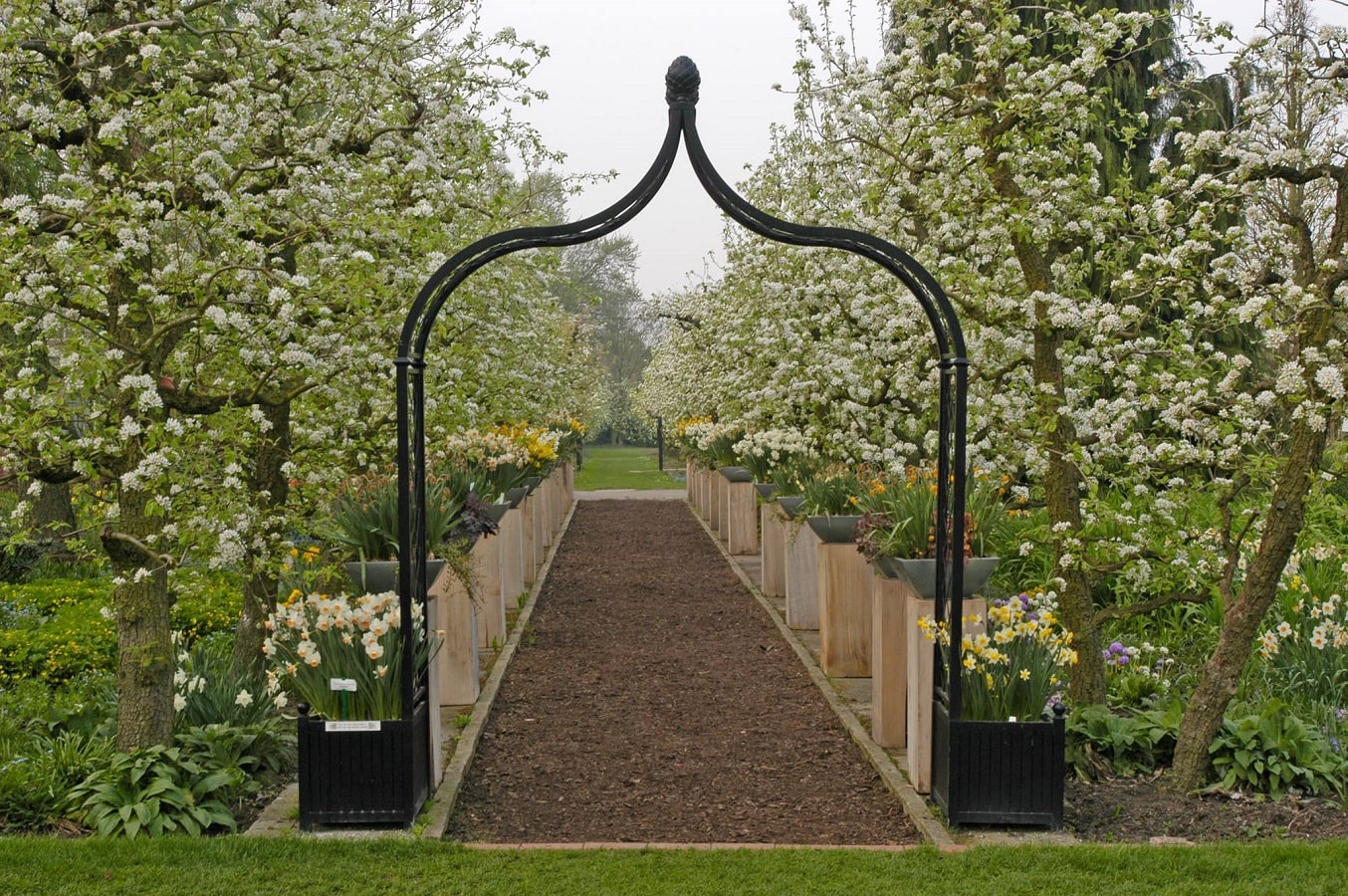 Viktorianischer Rosenbogen Brighton mit Pflanzkübeln von Classic Garden Elements mit Narzissen im blühernden Obstgarten