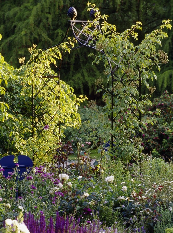 Viktorianischer Rosenbogen Kiftsgate von Classic Garden Elements auf der Insel Mainau