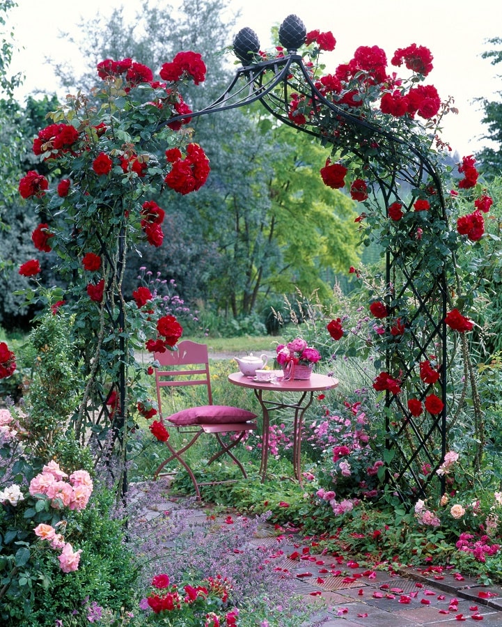 Viktorianischer Rosenbogen Kiftsgate von Classic Garden Elements mit Kletterrose 'Santana' von Tantau
