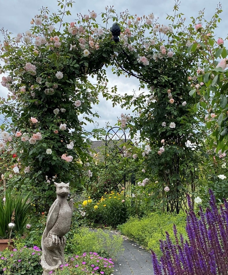 Viktorianischer Rosenbogen Kiftsgate von Classic Garden Elements mit Kletterrose 'The Lady of the Lake' von David Austin