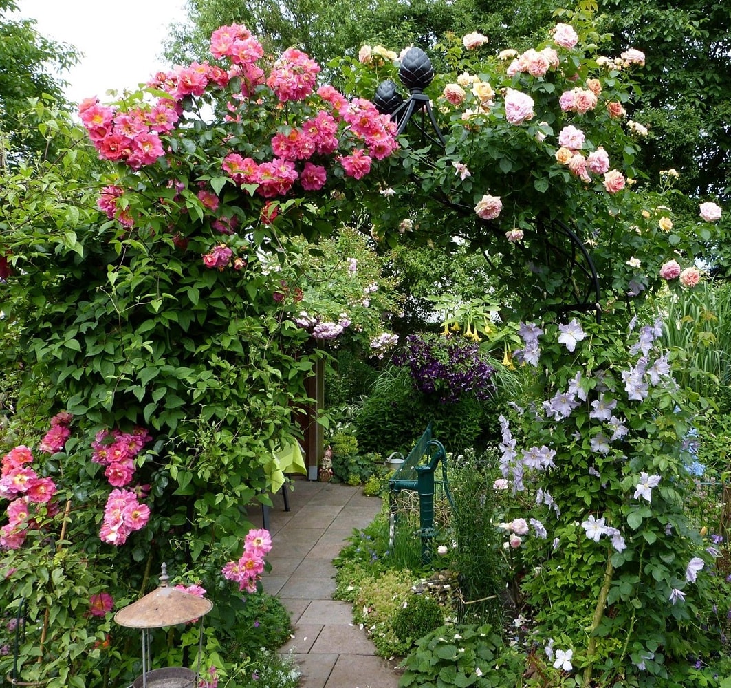 Viktorianischer Rosenbogen Kiftsgate von Classic Garden Elements mit Kletterrosen und Clematis