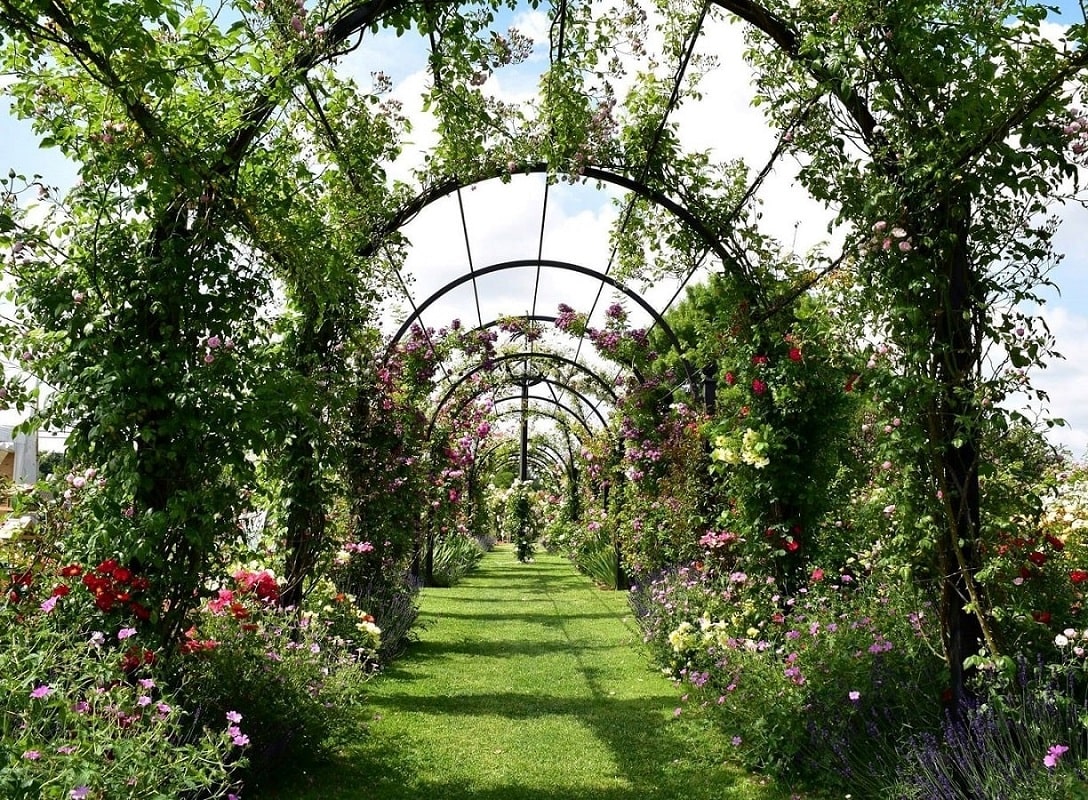 Laubengang St. Albans aus Stahl von Classic Garden Elements mit Rambler-Rosen in England