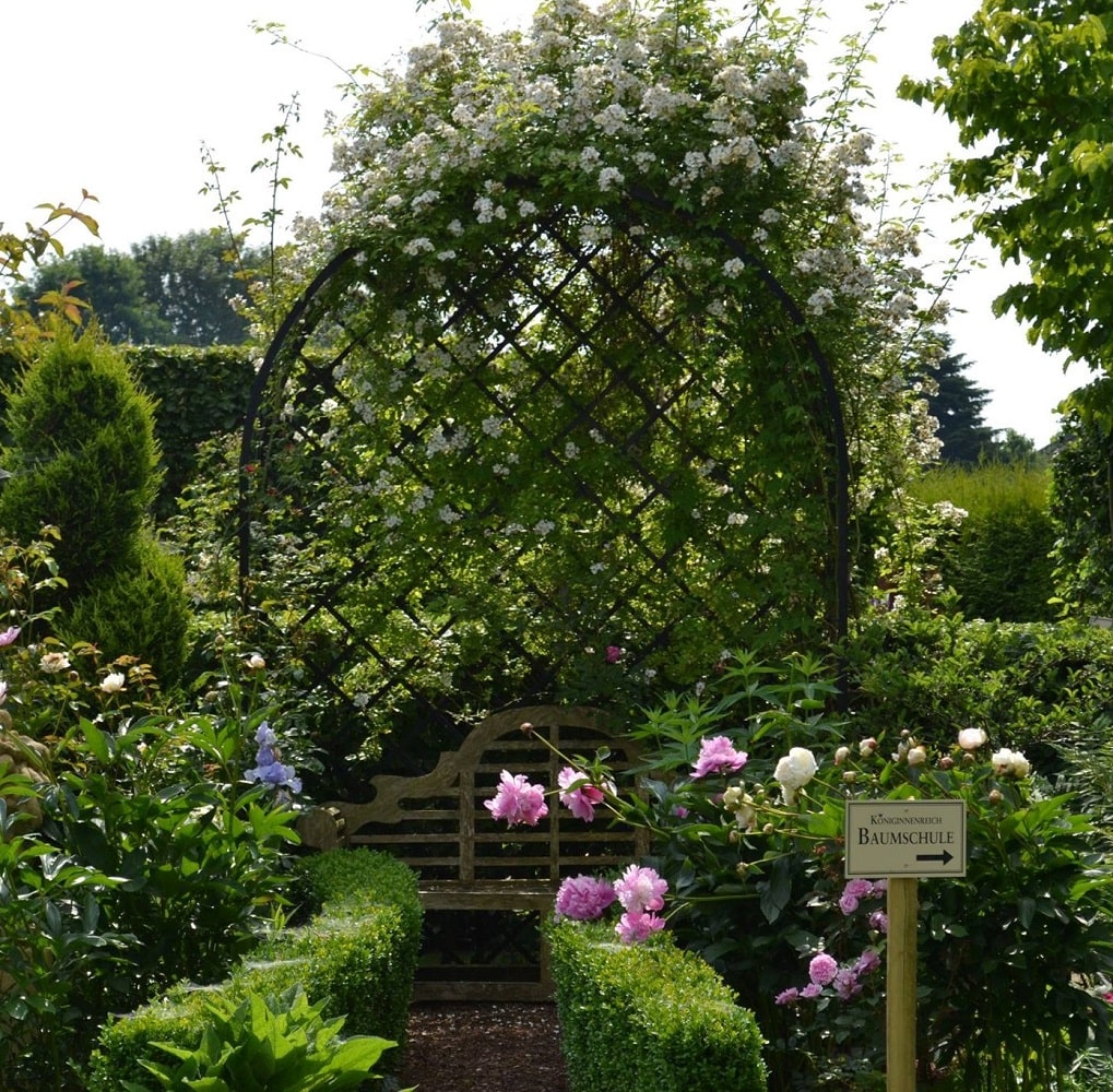 Romanische Rosenlaube 'Villandry' von Classic Garden Elements mit Rambler 'Bobbie James' im Garden of Roses Spenge