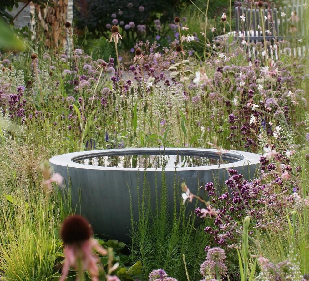 Luna Pflanzschale mit Wasser für Insekten im naturnahen Garten Luna Pflanzschale mit Wasser für Insekten im naturnahen Garten
