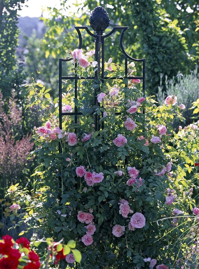 Rosenobelisk II von Classic Garden Elements hauptbild