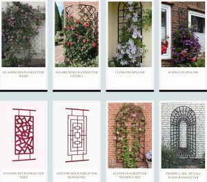 Freistehende Metall Rankhilfe für Clematis hier kaufen