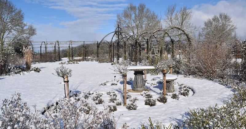Rosendom Peter Beales mit angeschossenen Laubengängen von Classic Garden Elements im Winter