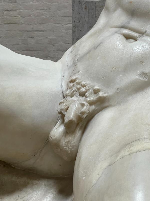 Barberini faun – Fallose ja munandikotti üksikasjalik vaade © Classic Garden Elements (1) Barberini faun – Fallose ja munandikotti üksikasjalik vaade © Classic Garden Elements (1)