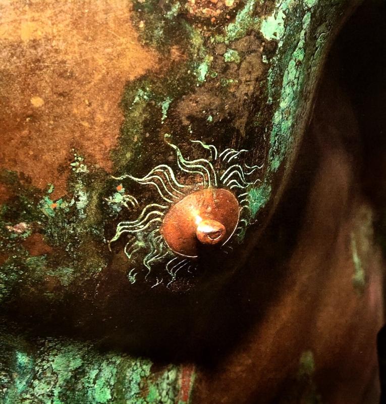 Quirinal Pugilist – anatoomilised üksikasjad – rinnanibud © Classic Garden