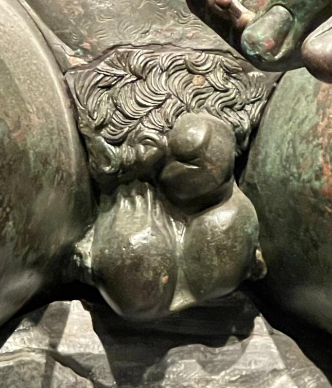 Pugilist Quirinalist – fallose ja munandikotti kujutis © Classic Garden Elements 2
