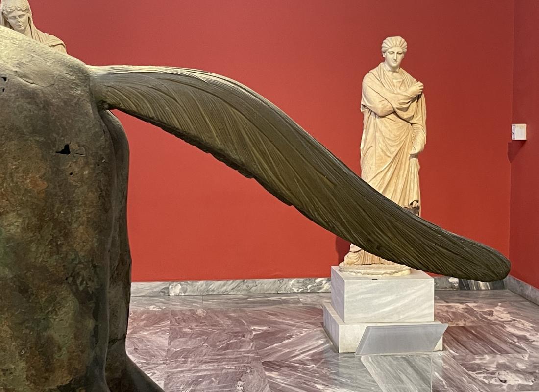 Ratsanik Cape Artemisionilt – hobuse saba lähivõte Ratsanik Cape Artemisionilt – hobuse saba lähivõte