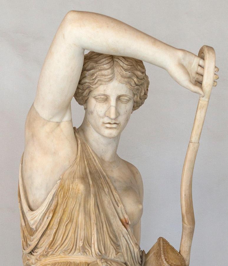 S09 – Amazone Mattei – Detailaufnahme des Kopfes mit ausdrucksstarker Mimik. Copyright Alamy Stock Photo S09 – Amazone Mattei – Detailaufnahme des Kopfes mit ausdrucksstarker Mimik. Copyright Alamy Stock Photo