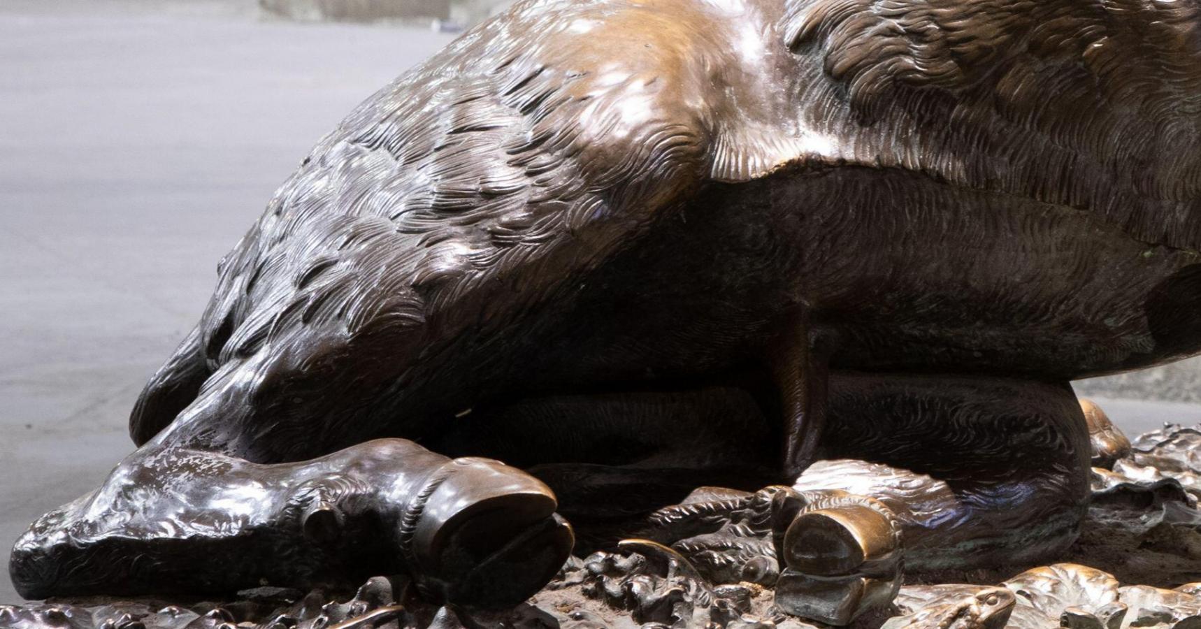 S46 – Kalydonischer Eber – Detailansicht der Hufe des Ebers. Copyright Alamy Stock Photo S46 – Kalydonischer Eber – Detailansicht der Hufe des Ebers. Copyright Alamy Stock Photo