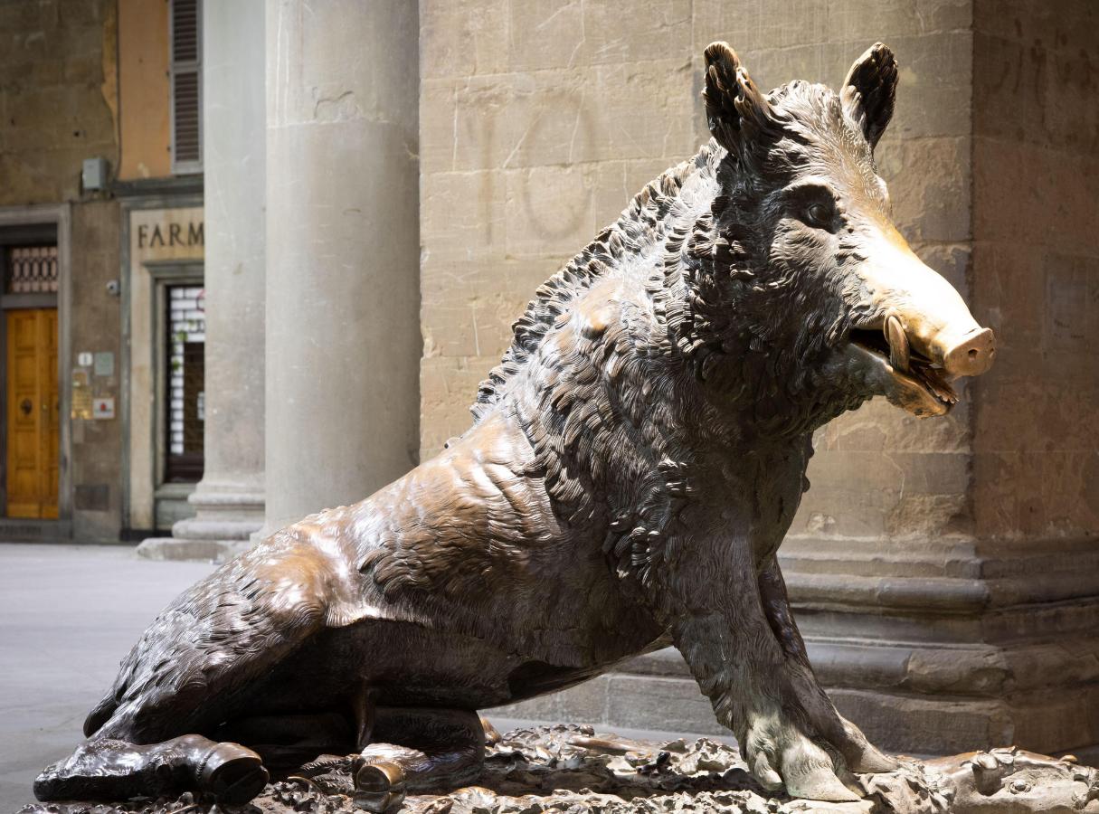 S46 – Kalydonischer Eber – Gesamtbild. Copyright Alamy Stock Photo S46 – Kalydonischer Eber – Gesamtbild. Copyright Alamy Stock Photo