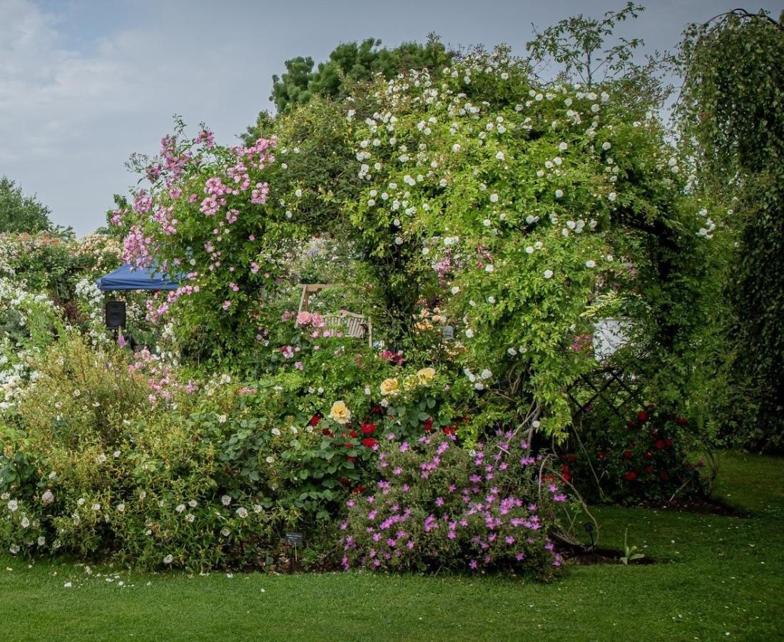 Buscot Parki pulmapaviljon firmalt Classic Garden Elements koos Peter Beales Rosesi näituseaias asuvate kärbsroosidega Buscot Parki pulmapaviljon firmalt Classic Garden Elements koos Peter Beales Rosesi näituseaias asuvate kärbsroosidega