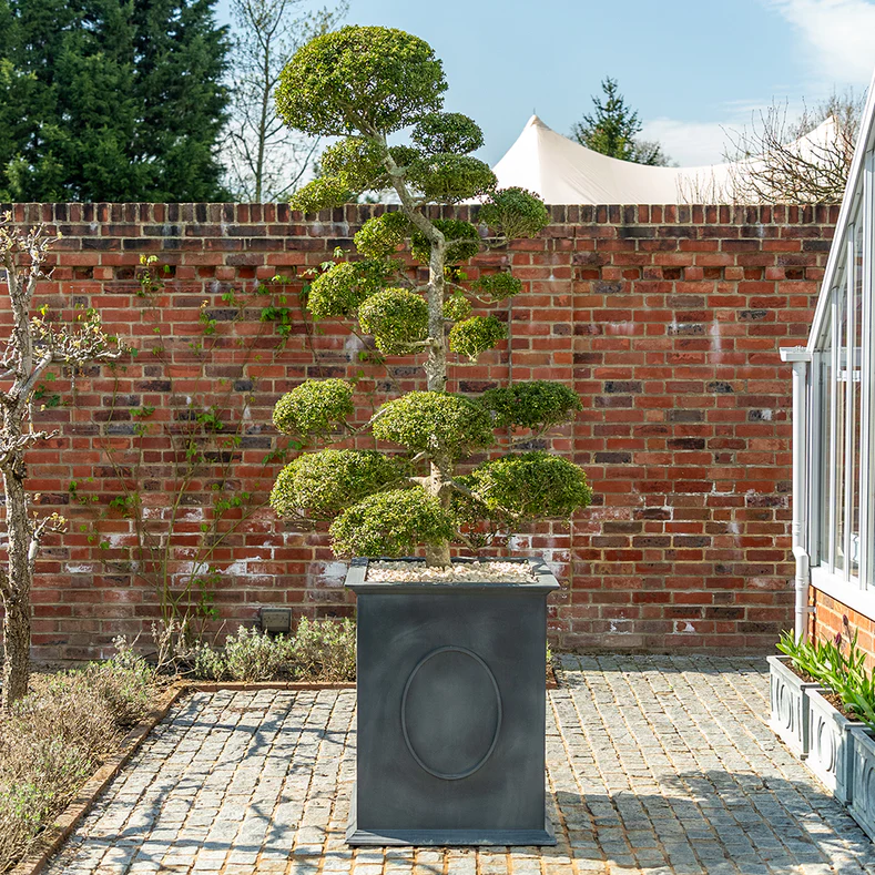 Roheline tasakaal – Windsori istutuspott ettevõttelt A Place in the Garden Roheline tasakaal – Windsori istutuspott ettevõttelt A Place in the Garden