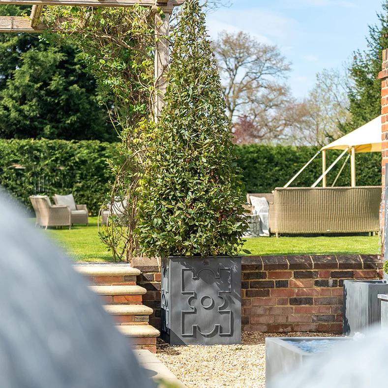 French Grandeur Medium – stiilne roheliste esiletõstude keskus firmalt A Place in the Garden