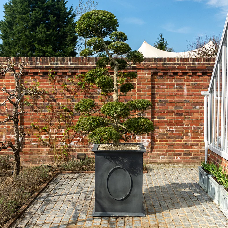 Aia luule astmetes – Windsori istutuskast saidilt A Place in the Garden Aia luule astmetes – Windsori istutuskast saidilt A Place in the Garden