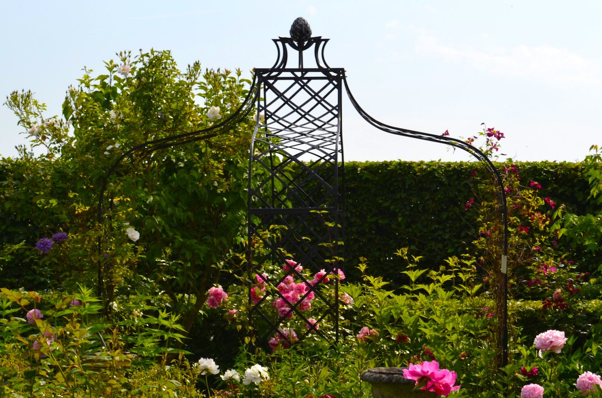 Clematis-am-Rosenpavillon-aus-Metall